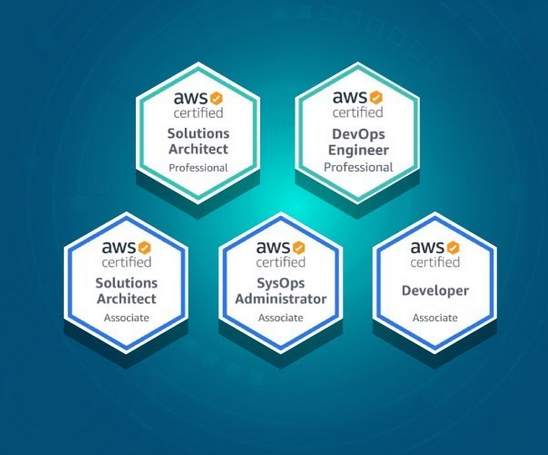 AWS Certified Professionals’ Current Wages