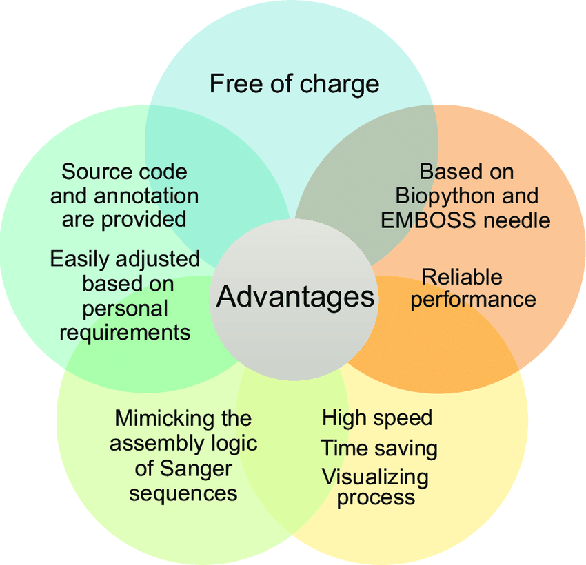 Advantages of Scripting
