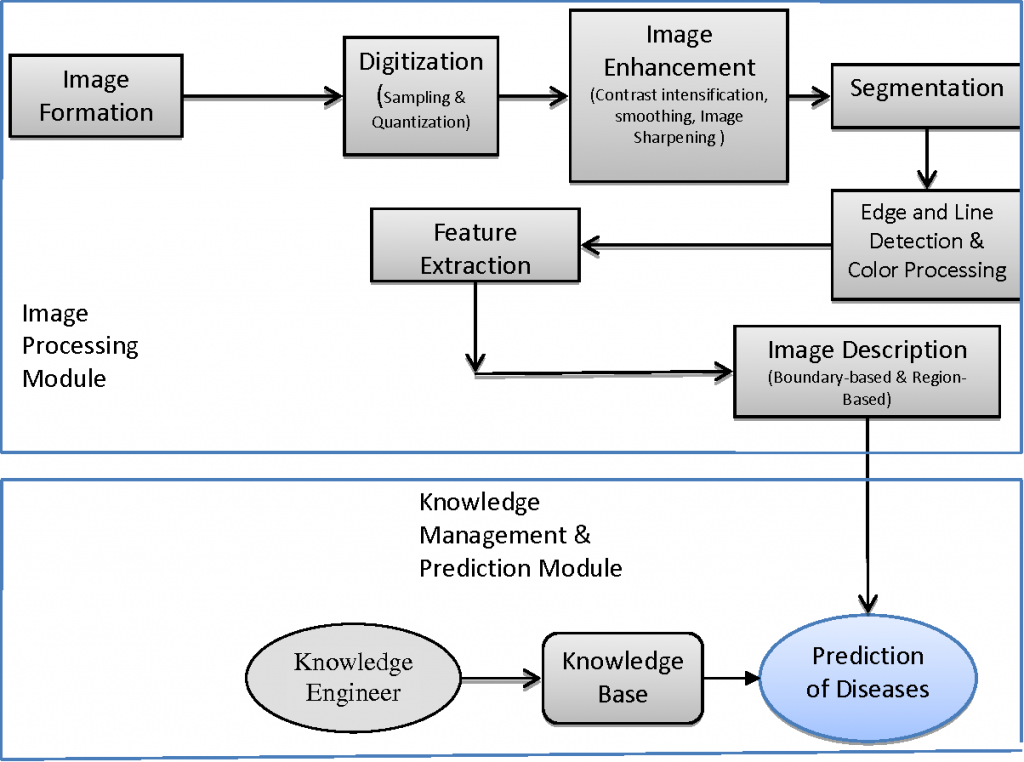 Applications of image processing