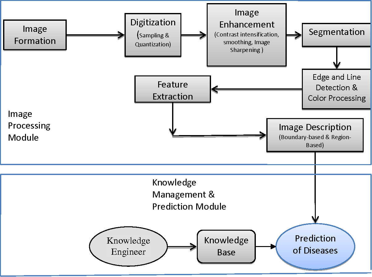 What Is Image Processing ? A Complete Guide with Best Practices