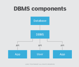 Database Components