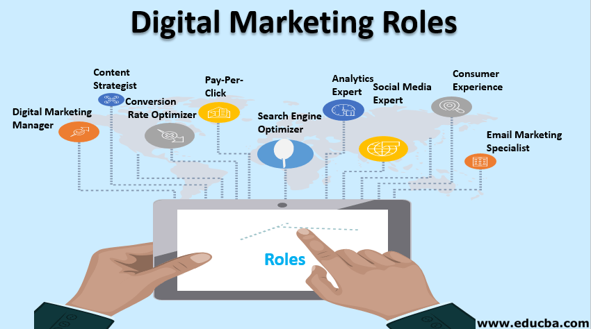 Digital marketer roles