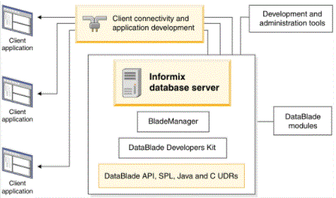IBM Informix components
