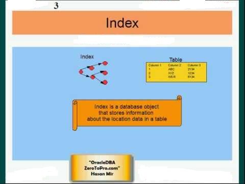 Index segment