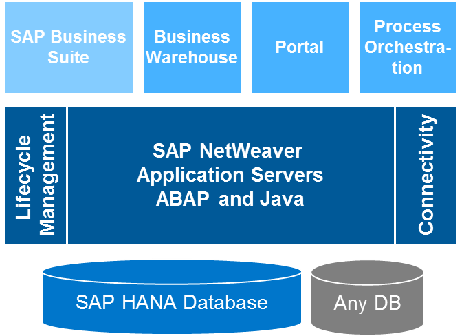 NetWeaver