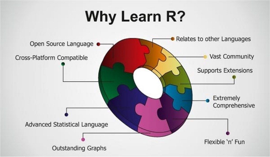 Why R Programming Language