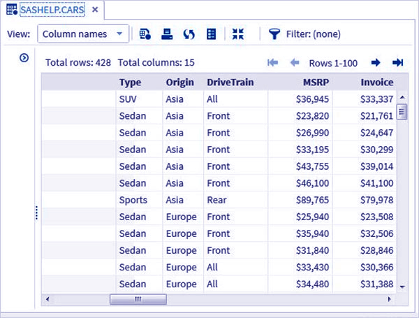 SAS data set