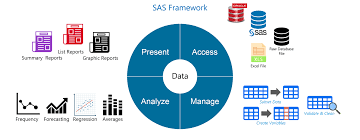 SAS Framework