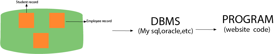 DBMS