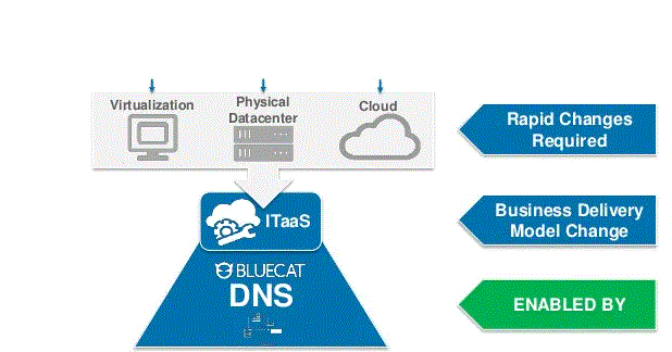 Digital platform in BlueCat