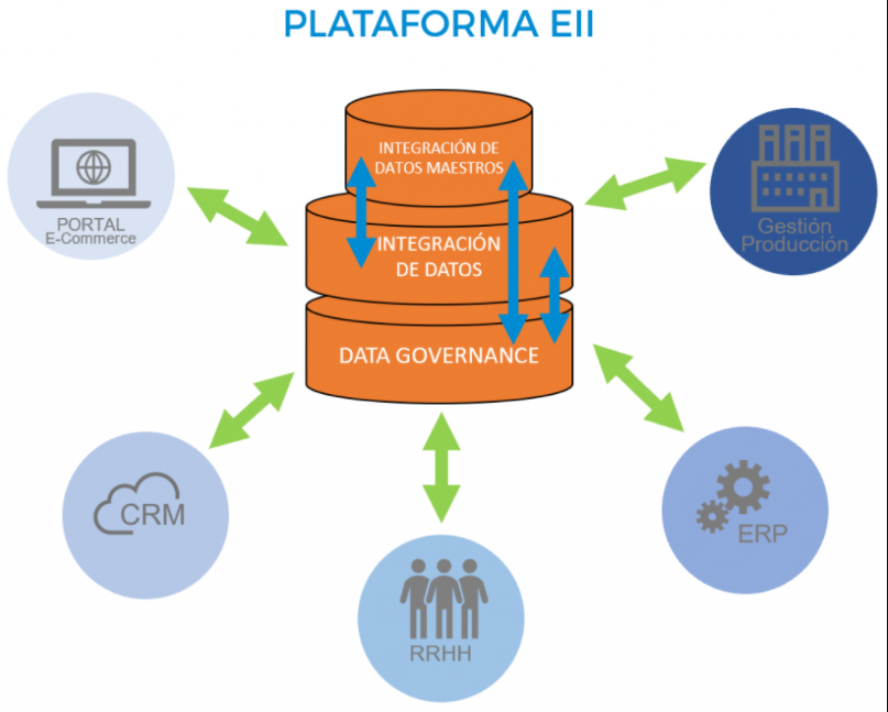 Enterprise Information Integration