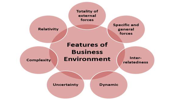 planning in business environment