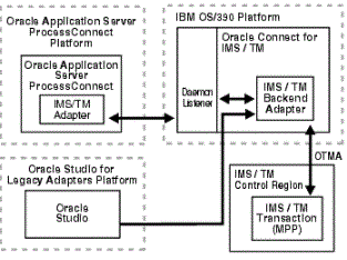Overview of the Oracle application