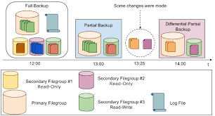 Partial Backup