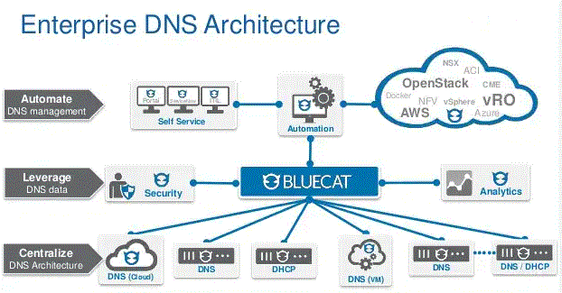 service BlueCat