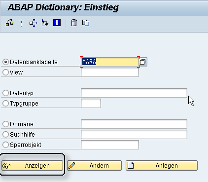 Transaction in SAP terminology