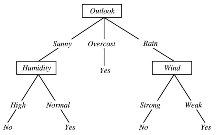 Decision Trees