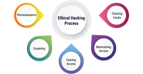 Ethical hacking process