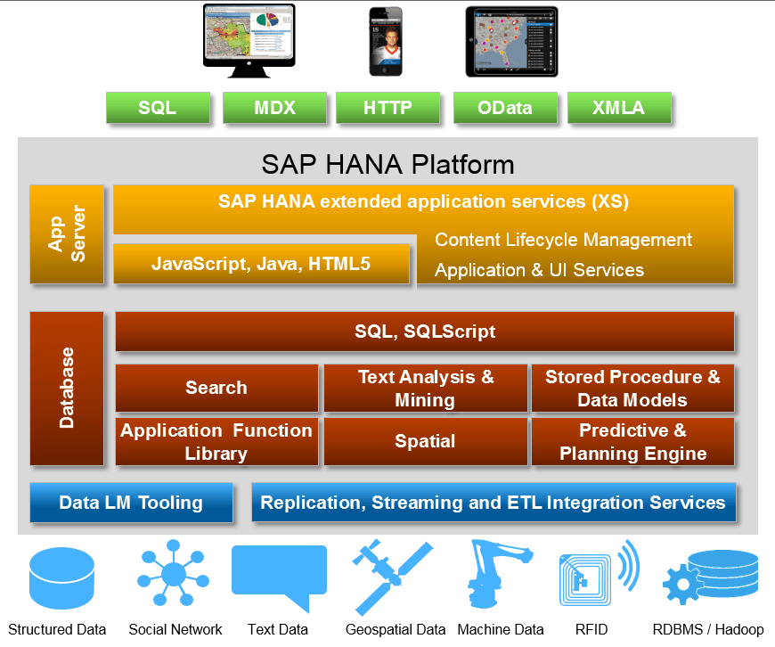  SAP HANA Features 
