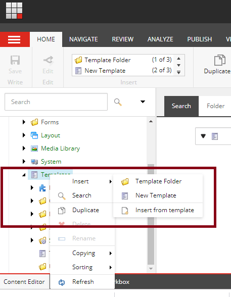 Formats of Sitecore