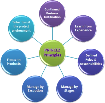  Seven Standards of PRINCE2  
