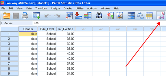 The Variable names in the Variable View