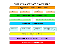  Transition assessment 