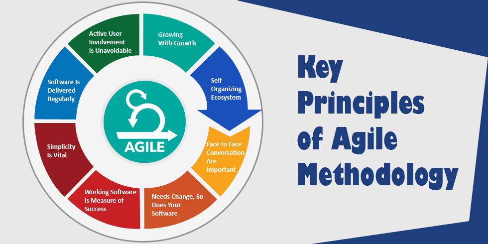 the Principles of Agile Methodology
