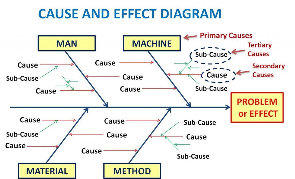  Cause and Effect Diagram 