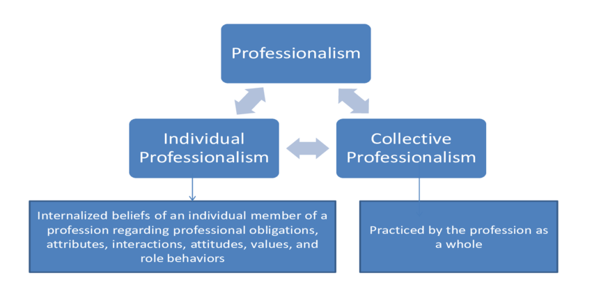  Individual versus Professional 
