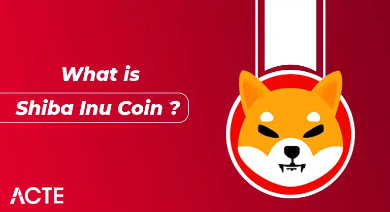 Shiba Inu Coin Tutorial ACTE