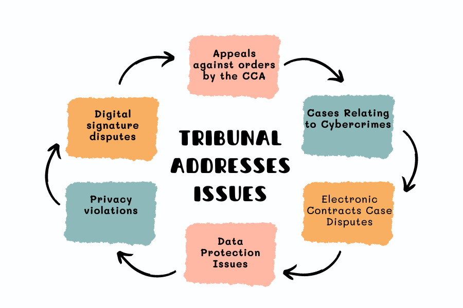 Cyber Appellate Tribunal Issues Article