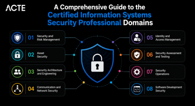 CISS Professional Domains Article