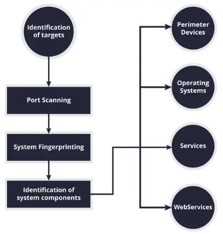 Process of Enumeration Article