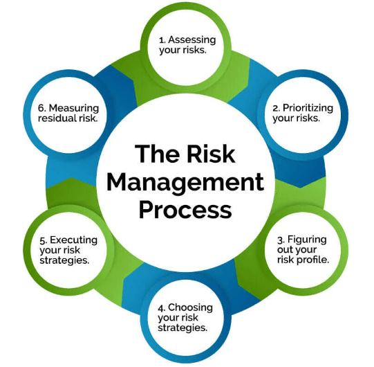 Risk Management Strategies Article