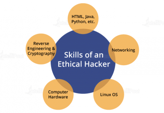 Ethical Hacking Article