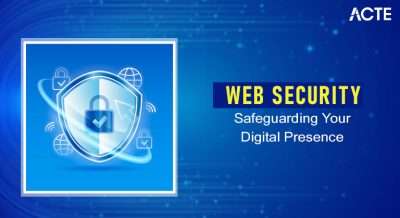 Web Security Safeguarding Article