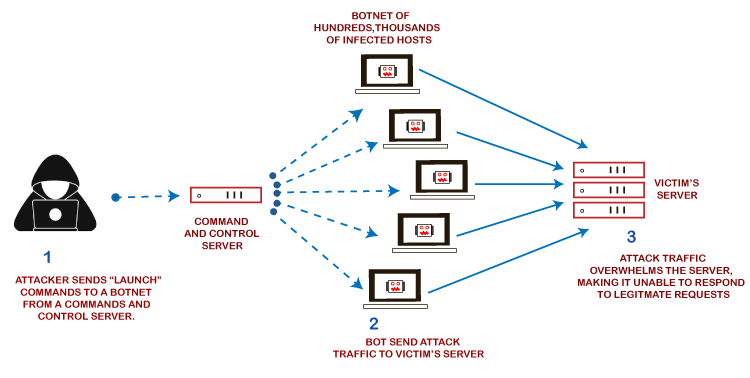 How DDoS Attacks Work Article
