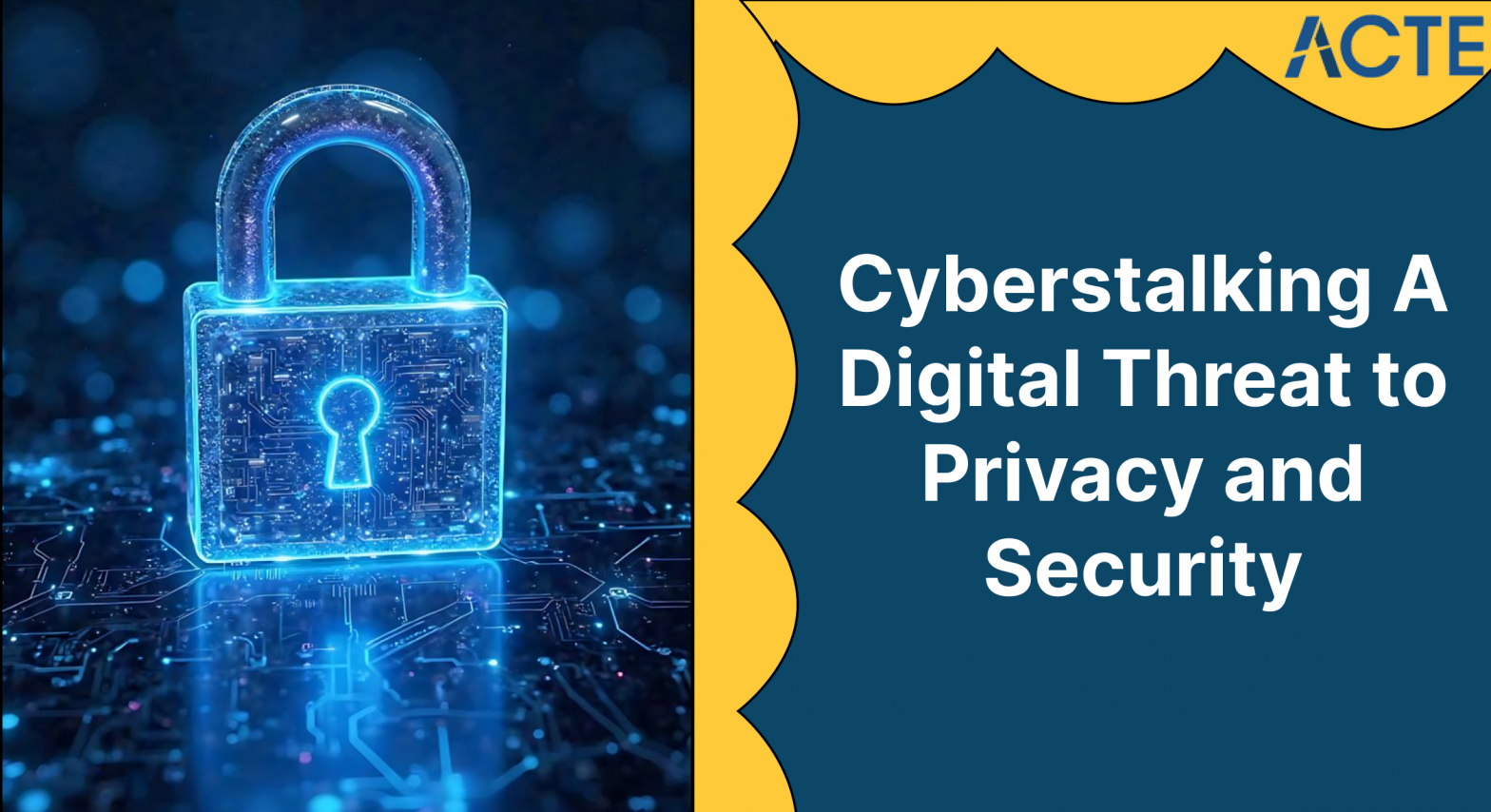 Cyberstalking Article