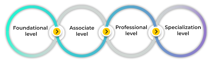 AWS Certified Professionals