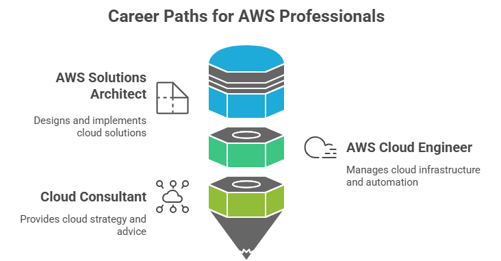 AWS Professinoal Article