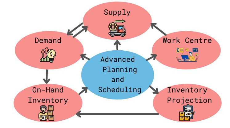 Project Manager Roles