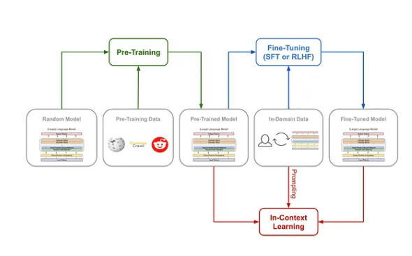 Pre-trained Models vs. Fine-Tuned Models