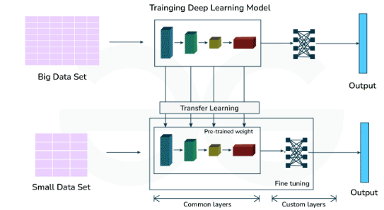 Transfer Learning and Fine