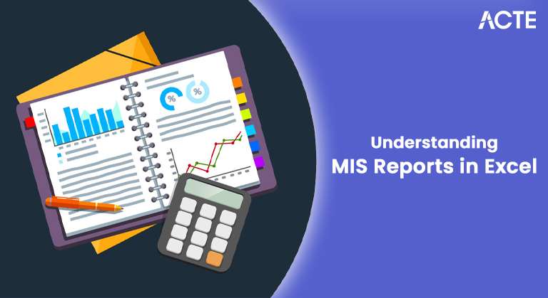 Understanding MIS Reports in Excel Article