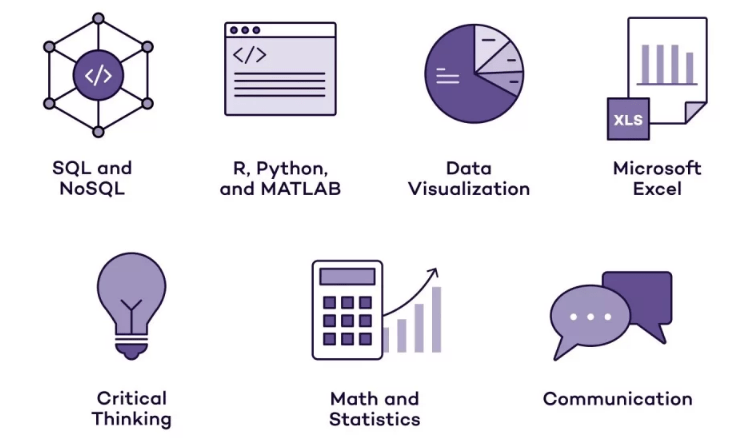 Data Analyst Roles