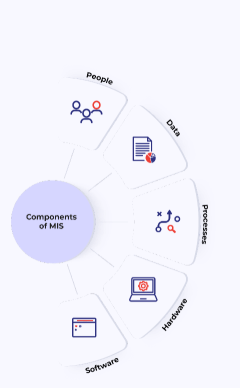 Commonly Used MIS Reports