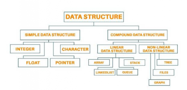 Software Engineering Degree vs Computer Science | Updated 2025