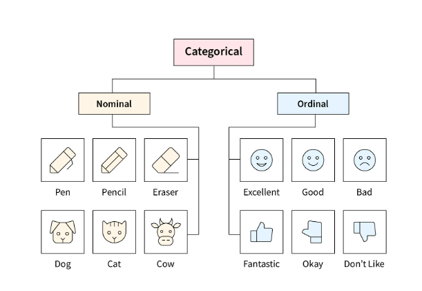 Difference Between Nominal and Ordinal Data