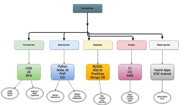 Full Stack Web Developer